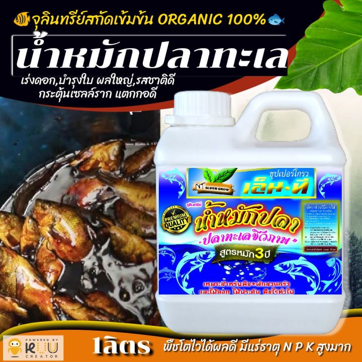 💥🐟น้ำหมักปลาทะเล (💥โปรโมชั่น 3แกลลอน=245.-💥) สูตร4สหาย 📌💥🌿 แกลลอน1ลิตร ...