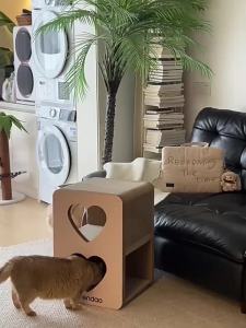 WURENDAO | Wear-Resistant Non-Flaking Cat Scratching Board & Bed