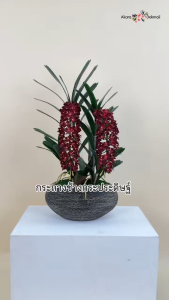Akara Dokmaii กระถางกล้วยไม้ประดิษฐ์ กล้วยไม้ช้างกระพร้อมกระถาง
