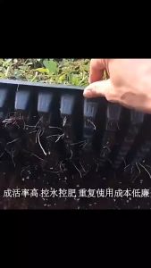 Seedling Tray - H.S. ถาดเพาะต้นกล้า, ถาดเพาะชำ, ถาดเพาะเมล็ด ใช้ซ้ำได้