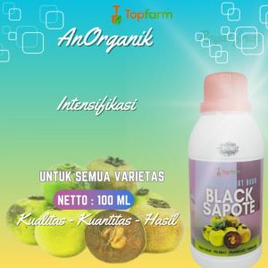 Pupuk Black Sapote / Pupuk Khusus Buah Black Sapote / Pupuk Pelebat Buah Buahan / Pupuk Buah Sawo Hitam / Pupuk Pembesar Buah Black Sapote