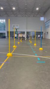 Cọc tập kĩ thuật dẫn bóng chuyên nghiệp bộ cọc bát tập luyện bóng đá vượt chướng ngại vật FLEX SPORTS