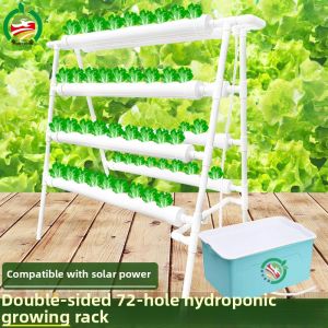 ZHUOLESHI | Double-Sided Pipe-Based Hydroponic Vegetable Growing Rack