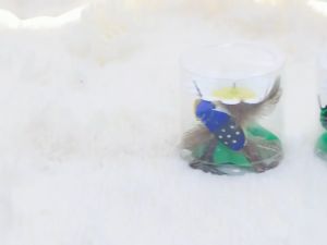 Đồ chơi cho Mèo đuổi bắt chim bướm xoay vòng tự động - Love Pets Shop
