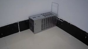 【Ship in 24H】Single-door Smart & Humane Multi-Catch Mice Mouse Trap Rat Trap Cage