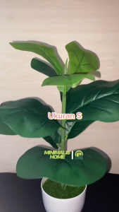 Daun Ketapang Tanaman Hias Tanpa Pot Artificial Plastik Dekor Minimalis Home