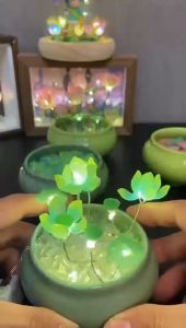 set tự làm chậu sen đèn ngủ handmade hoa sen thạch - HM08