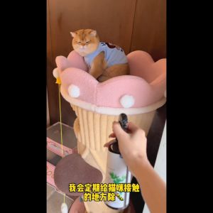 Mite Removal Spray 99.99% mite remover Natural Plant Household Mite Remove Dust Mite Control Spray Sheets sofa clothes can be used Reduce Skin Mites Itching 云南本草青花椒除螨喷雾 300ml