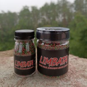 Pelet Limbata Super Color RKFish Aquatic Pakan Channa Limbata
