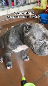 【Deodorant Expert|Natural German Quantum Frequency Technology】Universal for Humans Dogs🐶Cats🐱Animals Pets🐾|6 Litres 100% Food Grade