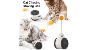READY-STOCK Tumbler Swing Toys For Cats Kitten Interactive Balance Car Cat Chasing Toy Mainan kucing