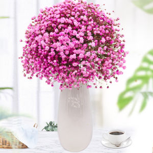 TEKANAI | Natural Dried Babys Breath Home Decor