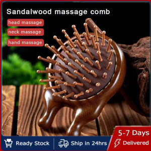 Hengfa Lina Multifunctional Airbag Massage Comb Anti-Hair Loss Nose Eye Head Scraping Comb Wide Tooth Comb Acupuncture Blood Circulation