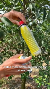 Fruit Fly Trap Attractant Spray 450ML Supernet Insect Trap Rain-proof Fly Trap Killer