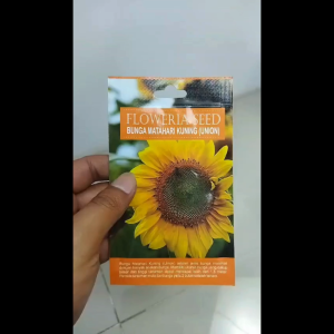 Benih Biji Bibit Bunga Matahari Kuning UNION Floweria Seed - 25 Seed