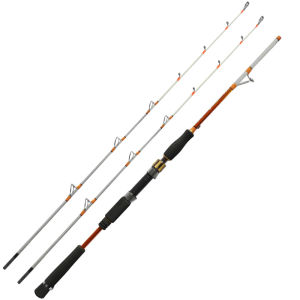 JUNXIANG | Marine Boat Fishing Spinning Rod