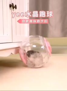 【READY-STOCK】2 in 1 Hamster Exercise ball hamster wheel rolling ball Hamster Crystal Running Ball With Rope 仓鼠跑球 仓鼠运动滚球 仓鼠玩具 仓鼠减肥神器 Mainan Hamster