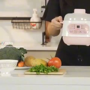 Nồi Nấu Cháo Chậm - Nồi Hầm Điện Cách Thủy Dung Tích 1L Nấu Cháo Chưng Yến Hầm Xương Nấu Canh Cho Gia Đình.