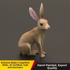 MENGSILE | Realistic Educational Animal Model Childrens Gifts
