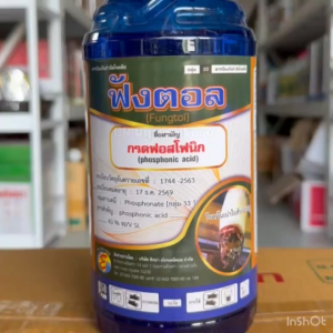 กรดฟอสโฟนิก 40% SL ฟังตอล (เนื้อออสเตรีย) ป้องกันและกำจัดเชื้อรา โรคพืช ข้าวไม่กินปุ๋ย ไฟทอปธอร่า รากเน่าโคนเน่า ยอดเน่า ราหลุม เมล็ดด่าง 1L.