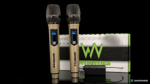 RAYHAYES Wireless Microphone Rechargeable Dual Handheld for Lecture Teaching Interview Recording Performance