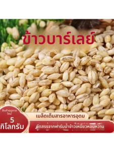 Fresh Quality Dehulled Barley 5 Jin