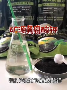 矿源黄腐酸钾 土壤活化剂 FULVIC ACID 1 kg Microbial inoculants 矿源黄腐酸钾 菌剂版 / Organic / humic acid / soil amendment<