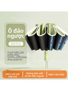 MOLORE | Reversible 30-rib Foldable Windproof Umbrella Sunscreen for Two