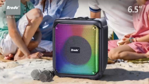 BTS 2483 Brodu Bluetooth Speaker with RGB Light 6.5" 3600mah with 1 wireless Microphone and 1 wired Microphone (Complete Accessories in the box) ORIGINAL