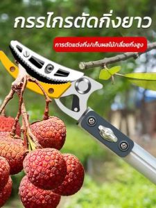 ของแท้ กรรไกรตัด-หนีบผลไม้ ยาว2.3-4 กรรไกรตัดหนีบผลไม้ด้ามยาว กรรไกร กรรไกรตัดกิ่งกรรไกรแต่งกิ่งไม้ ตัดกิ่งไม้ กรรไกรตัดแต่งกิ่ง(จัดส่งจากกรุงเทพฯ)