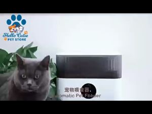 Automatic 5L dog food feeder cat bowl outdoor battery interactive timely pet feeders for dog and cats