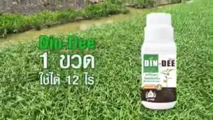 Din-Dee สารชีวภาพปรับปรุงสภาพดิน 16 ชนิด พืช ต้องการ แร่อาหาร ภูเข้าไฟ อาหารที่สุขภาพดี