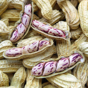 Wet Roasted Seven-color Shell-on Fresh Peanuts Salty Dried Snack