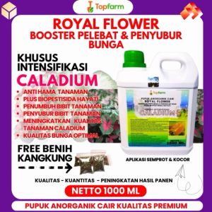Pupuk Topfarm / Pupuk Tanaman Keladi / Pupuk Tanaman Hias Keladi Kris Papua / Pupuk Bunga Dan Tanaman Hias / Pupuk Penyubur Bunga Hias / Pupuk Booster Tanaman Hias / Pupuk Tanaman Caladium