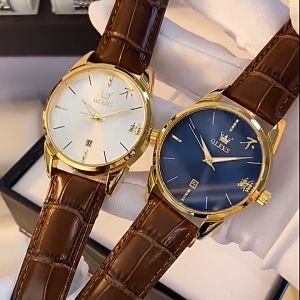 OLEVS 2865 Fashion Classic Calendar Leather Waterproof Luminous Business Quartz Man Watch
