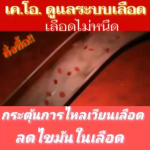 เค.โอ.(K.O.) ผลิตภัณฑ์เสริมอาหาร สำหรับเลือดไม่หนืด ไหลเวียนดี
