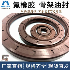 TC Fluorine Glue Framework Oil Seal Customized 140*155*8/140*155*15/140*160*10/140*160*12