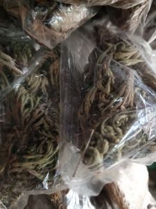 herba milagrosa/meroserba