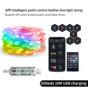 Smart Fairy RGB String Light USB 10M/33FT Waterproof String Light with App Control Sync to Voice & Music Valentines Day Decor
