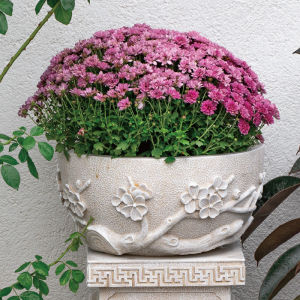 Rysing Chinese Garden Elephant a Block of Stone Used as a Seat Decoration Outdoor Courtyard House Decorative Bonsai Balcony Landscape Flower Pot