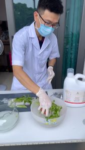 Nước ngâm rửa rau củ quả Fuwa3e 1L enzyme sinh học dứa - khử vi khuẩn giun sán tồn dư thuốc BVTV