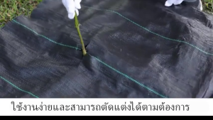 วัชพืช พลาสติกคลุมวัชพืช ผ้าคลุมดิน(เกรด A) คลุมดิน ผ้าคลุมหญ้า พลาสติกคลุมดิน ผ้าคลุมวัชพืช น้ำซึมผ่านได้ คลุมวัชพืช 50/100m