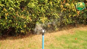 10 อัน สปริงเกอร์ ใบสแตนเลส เปียกตั้งแต่โคนเสา โครงหมุนรอบตัว มีแผ่นรองบูท พร้อม ข้อต่อ สวมท่อ 4 หุน, 6 หุน สปริงเกอร์สวมท่อ K FARM