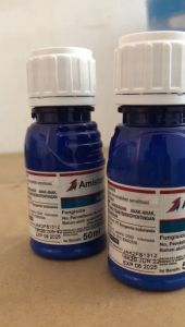 Syngenta AmistarTop 325SC Multi-Pak 50ml - Fungisida Anti Jamur Efektif