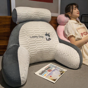 Detachable Washable Lumbar Support Pillow for Sofa and Bed