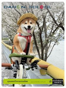 KUABEI | Folding Pet Seat Bicycle Basket