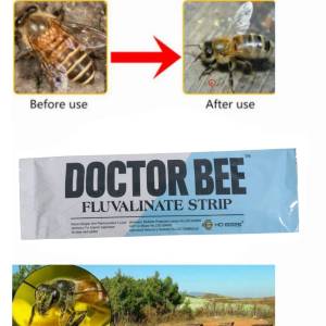 Beekeeping Supplies (20 units) | Plastic Installation Strips for Brood Frames | Bee Tool Accessory for Varroa Control