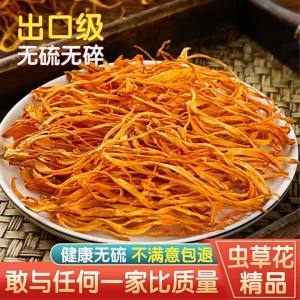Authentic High Quality Dried Cordyceps Mushroom Wild