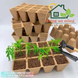 KG12OUTH - Sét 5 khay 12 ô giấy tự hủy dùng ươm cây giống size mỗi ô 3.5x5cm