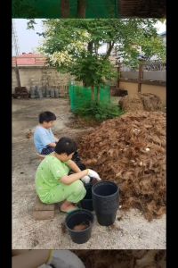 ดินปลูกออร์แกนิค สูตร 10kg เพิ่มความโปร่งด้วยใบก้ามปูหมักชีวภาพ ม.เกษตร กำแพงแสน โรงผักสองตี๋ 100% งานวิจัย